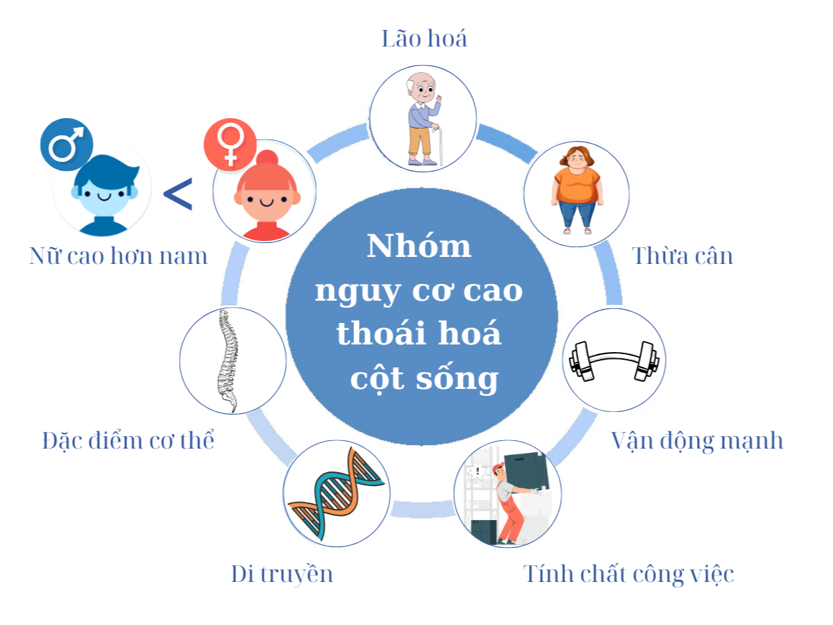 Nhóm nguy cơ cao gặp thoái hoá cột sống